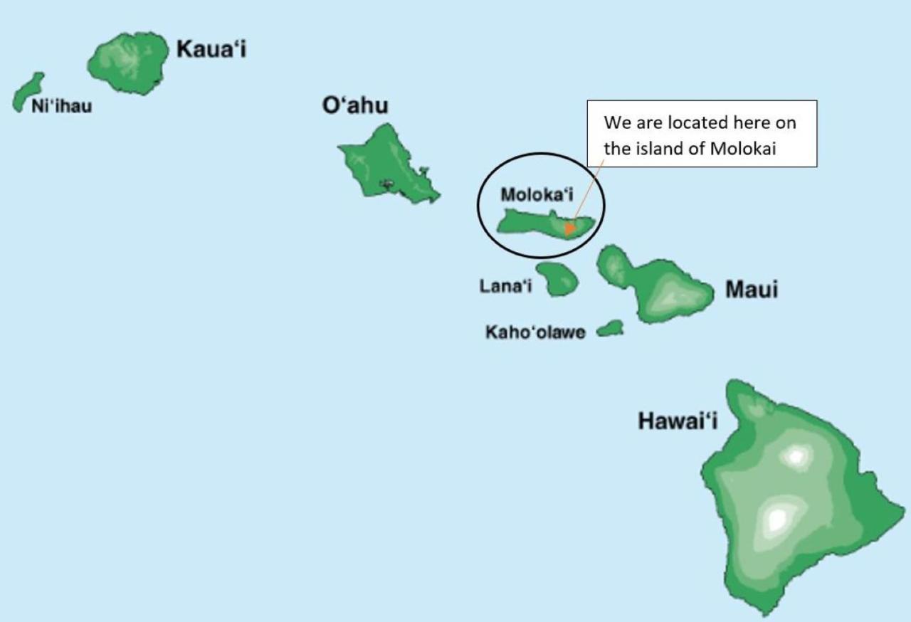 Molokai Island Retreat With Beautiful Ocean Views And Pool - Newly Remodeled! Apartment Ualapue Exterior photo